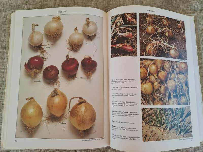 Vegetables - Roger Phillips & Martyn Rix