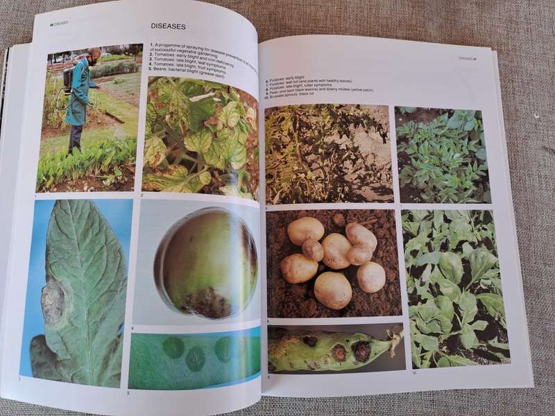 The A-Z of Vegetable Gardening in South Africa - Jack Hadfield