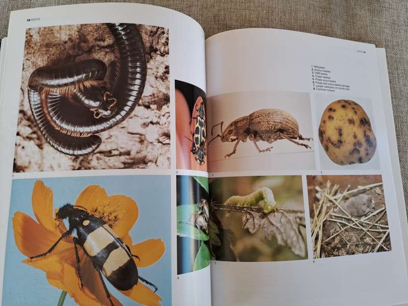 The A-Z of Vegetable Gardening in South Africa - Jack Hadfield