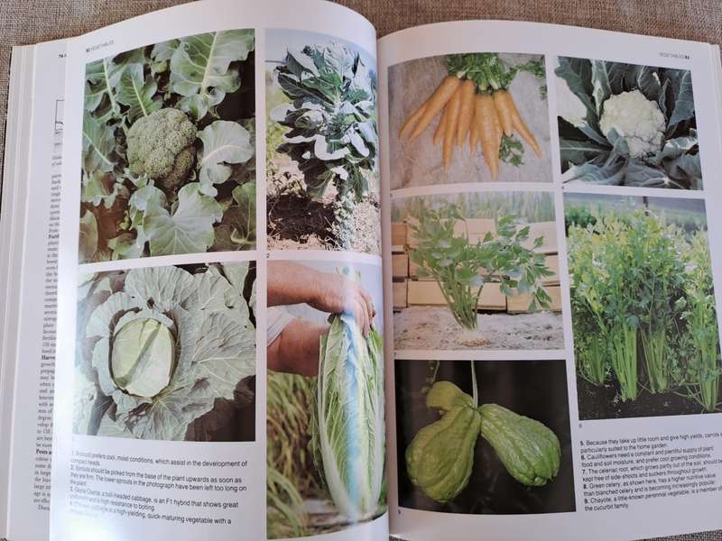 The A-Z of Vegetable Gardening in South Africa - Jack Hadfield