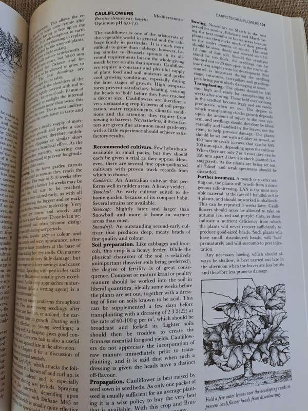 The A-Z of Vegetable Gardening in South Africa - Jack Hadfield