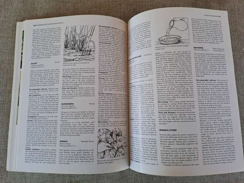 The A-Z of Vegetable Gardening in South Africa - Jack Hadfield