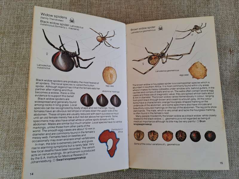 Struik Pocket Guides for Southern Africa Spiders - Gerry Newlands and Elbie de Meillon