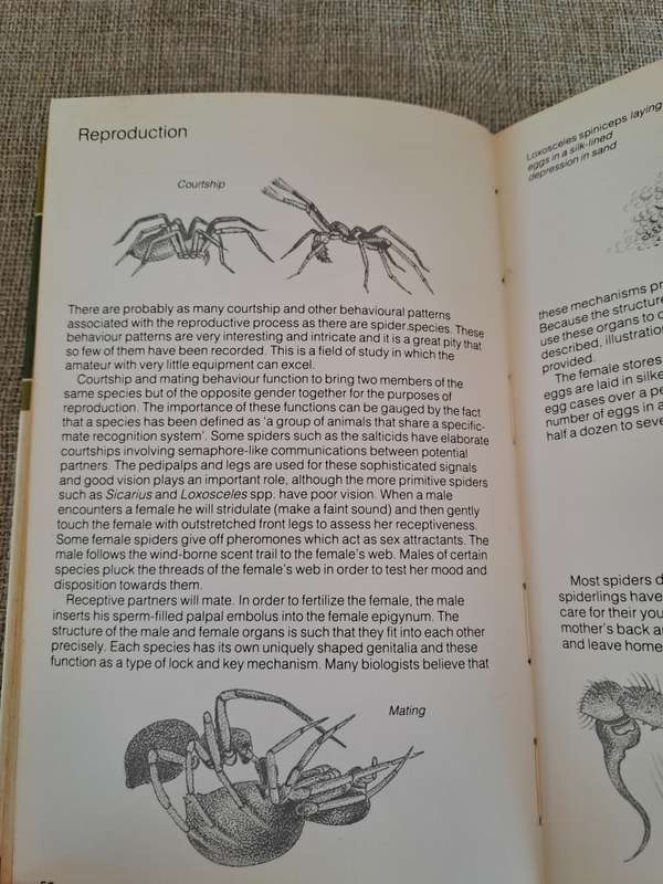 Struik Pocket Guides for Southern Africa Spiders - Gerry Newlands and Elbie de Meillon