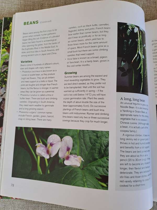 Jane's Delicious A-Z of Vegetables - A guide to growing organic vegetables in South Africa