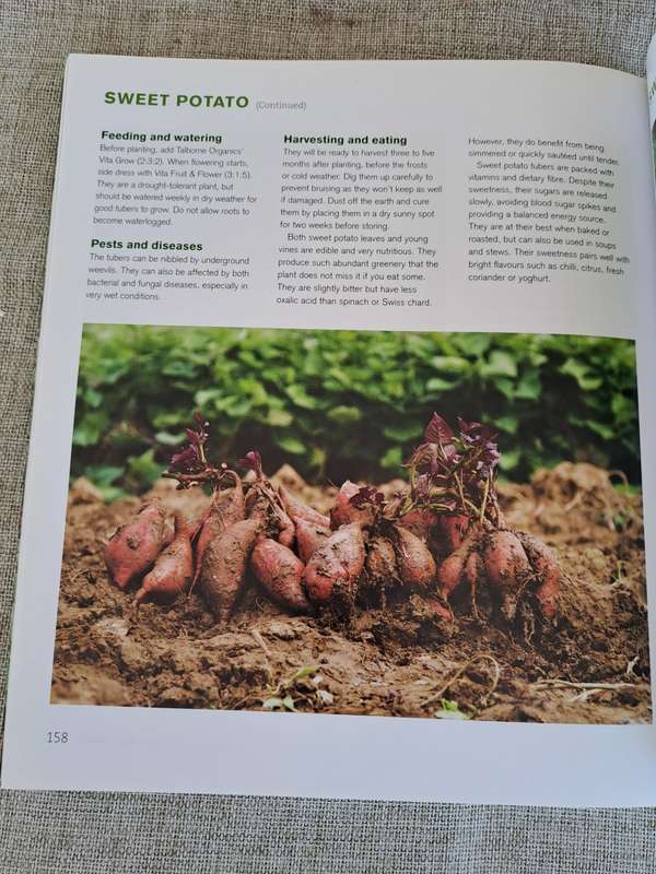 Jane's Delicious A-Z of Vegetables - A guide to growing organic vegetables in South Africa