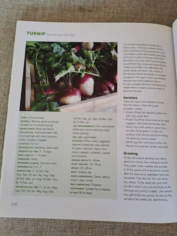 Jane's Delicious A-Z of Vegetables - A guide to growing organic vegetables in South Africa