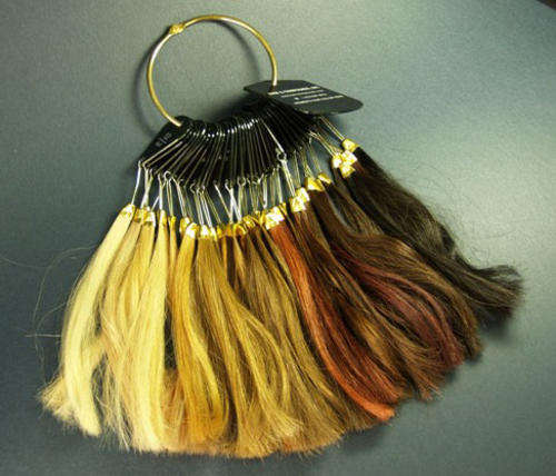 Hair extensions - human hair colour matching ring - colour samples