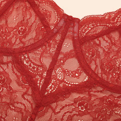 Tracy`s Dog Lingerie