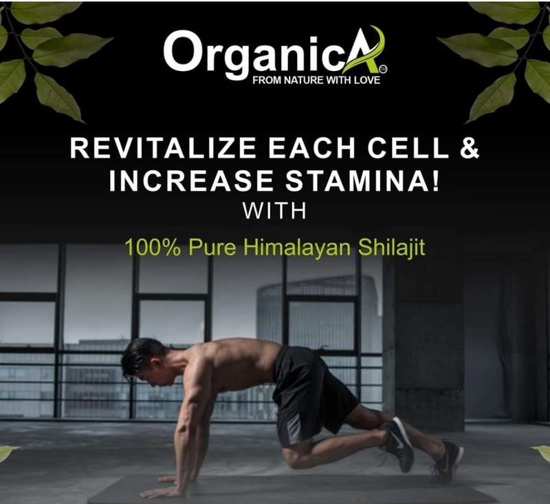 SHILAJIT RESIN BY ORGANICA