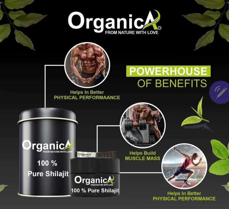 SHILAJIT RESIN BY ORGANICA
