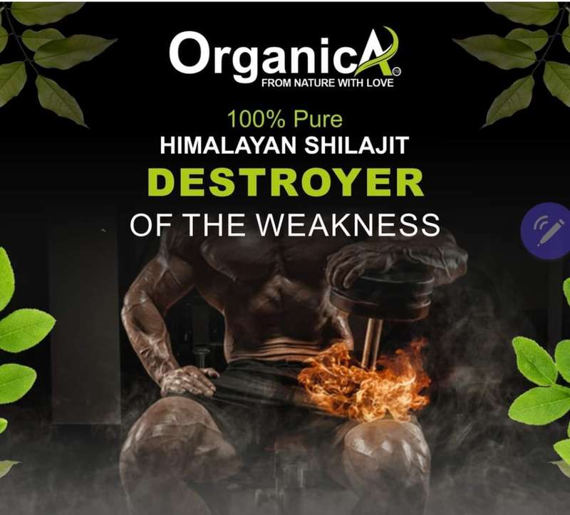 SHILAJIT RESIN BY ORGANICA