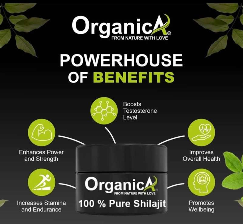 SHILAJIT RESIN BY ORGANICA