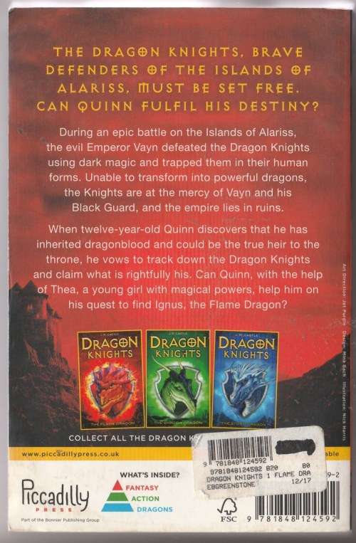 Dragon Knights: The Flame dragon - J.R. Castle