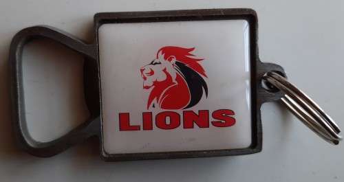 Lions Key ring