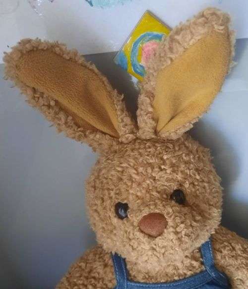 Bunny Build-a-Bear plush
