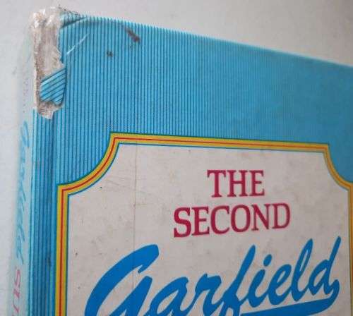 The second Garfiled super Treasury