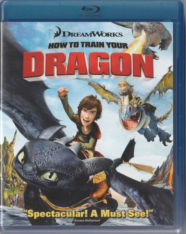 How to train your Dragon