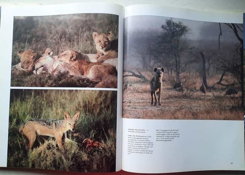 Die nasionale Krugerwildtuin