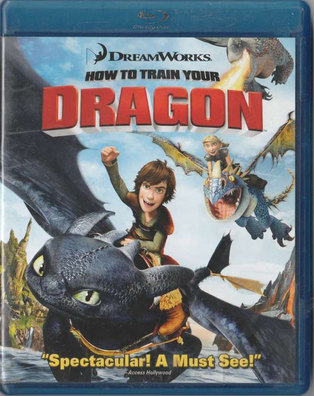 How to train your Dragon