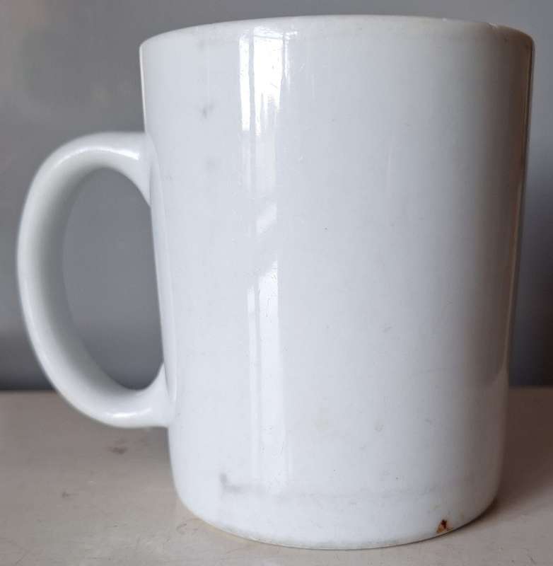 Garfield Cup (1978)