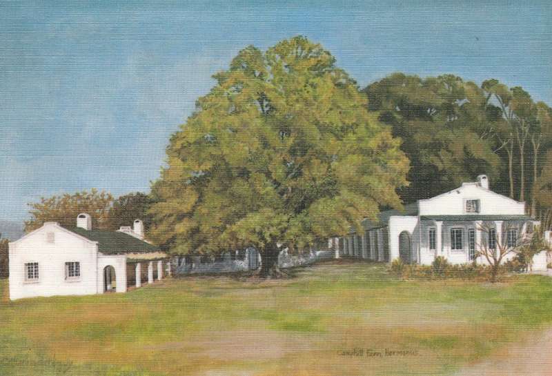 Postcard 24