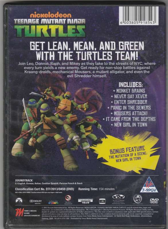 Teenage mutant Ninja turtles enter Shredder