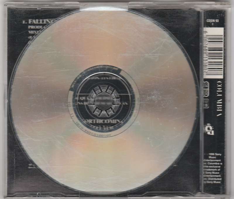 Celine Dion Falling into you single