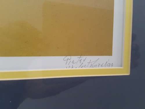 PIETER VAN DER WESTHUIZEN SIGNED LIMITED EDITION 31/375