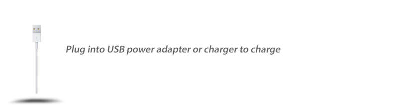 iPhone 5 / 6 / iPad / Air / Mini / iPod Lightning to USB Cable Charging