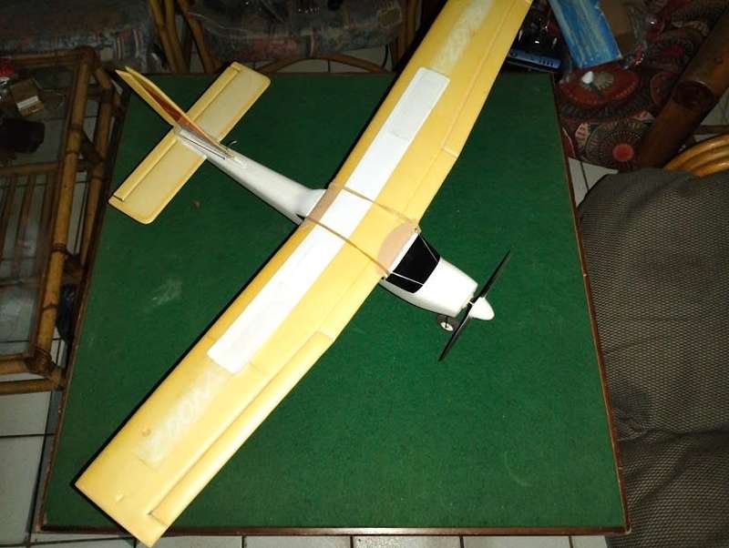 SKY VIPER RADIO CONTROL PLANE