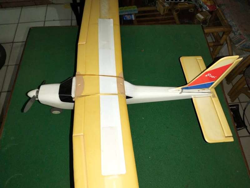 SKY VIPER RADIO CONTROL PLANE
