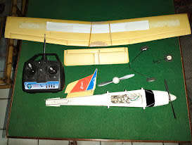 SKY VIPER RADIO CONTROL PLANE