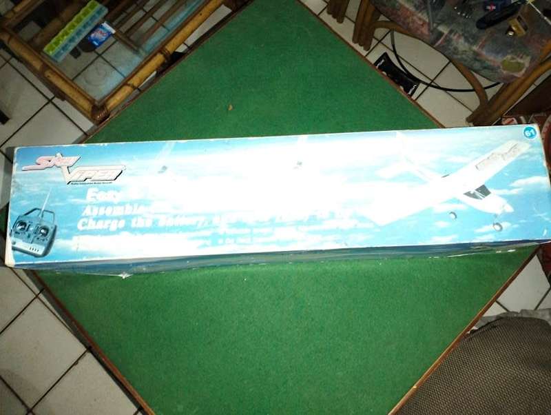 SKY VIPER RADIO CONTROL PLANE