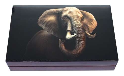 *#* Promo - 2021 Double Capsule 1oz Fine Silver Proof R5 Big Five Series II Elephant Coin Set *#*