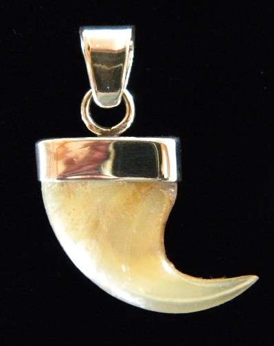 STUNNING!!!RARE Lions Claw Sterling Silver Pendent!!!