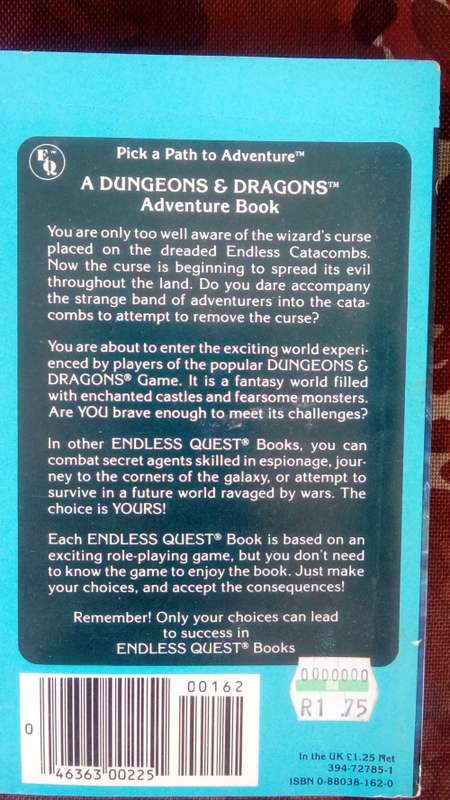An Endless Quest Book #22 - The Endless Catacombs