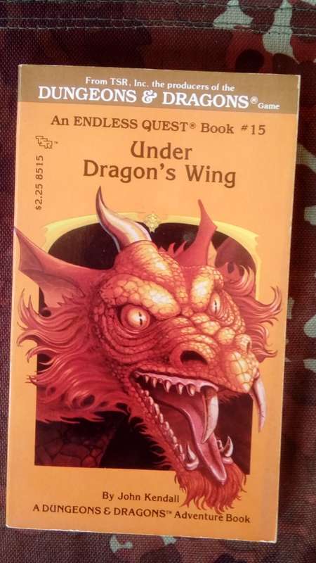 An Endless Quest Book #15 - Under Dragon's Wing