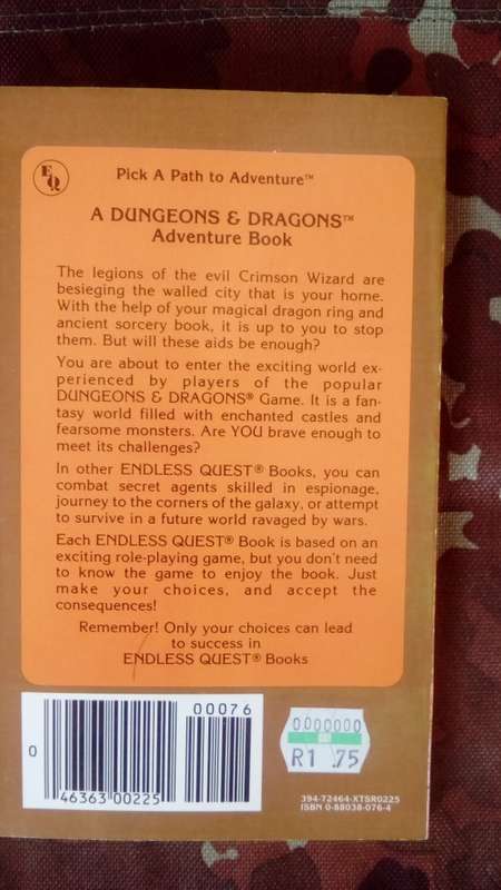 An Endless Quest Book #15 - Under Dragon's Wing