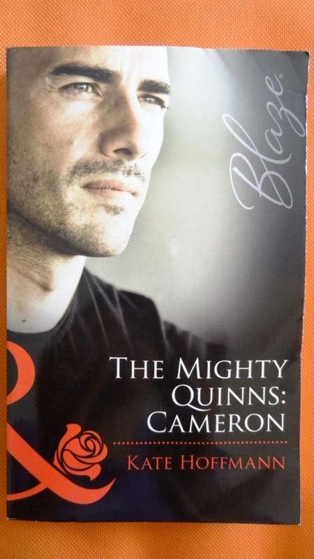 Mills & Boon Blaze: The Mighty Quinns: Cameron - Kate Hoffmann