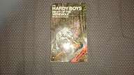 The Hardy Boys