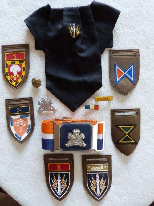 61 Mechanised Infantry Battalion/ 2 Special Services Battalion