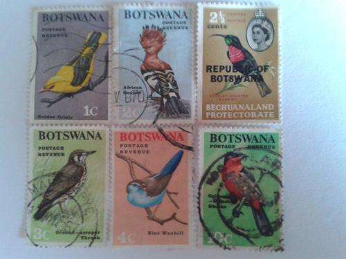 Botswana Birds