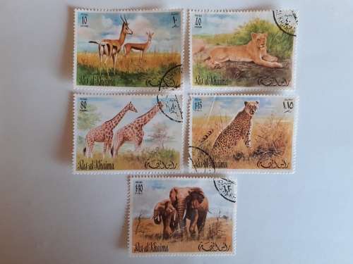 Ras al Khaima (UAE) African Wildlife