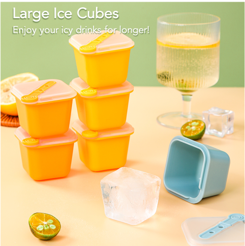 Large Ice Cube Molds with Lids and Popsicle Sticks - Set of 6