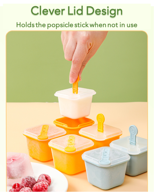 Large Ice Cube Molds with Lids and Popsicle Sticks - Set of 6
