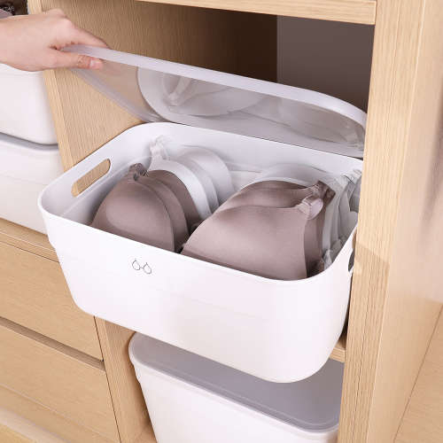 Multi-Use Storage Box with Lid - 2 Pack