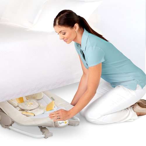 Ingenuity Rock'n Soothe  Baby Rocker - Quacks & Cuddles