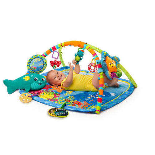 Baby Einstein Nautical Friends Play Gym