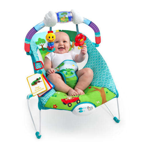 Baby Einstein Caterpillar's Day at the Park Bouncer